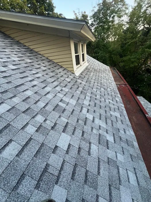 Blockbuster Roofing Picture 5