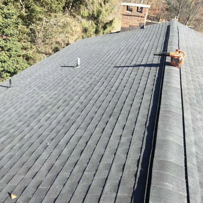 Blockbuster Roofing Picture 4