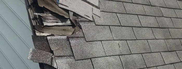 Roof Advisor, LLC Picture 3