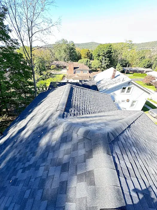 Expert Roofing Sidney ny Picture 4