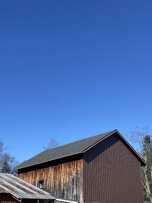 DP Roofing & Construction Picture 4