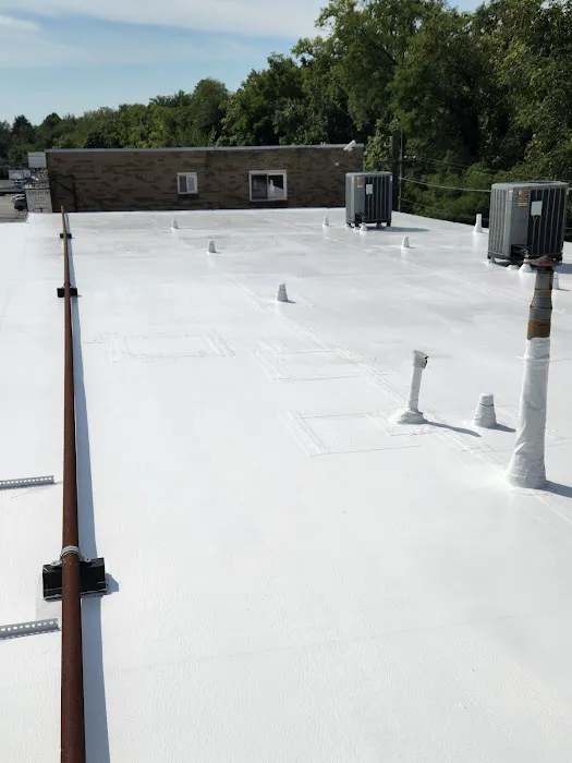 Lionheart Roofing LLC Picture 3