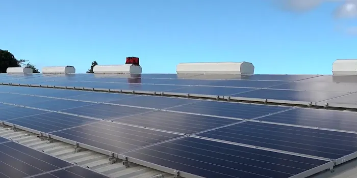 Intrepid Roofing Picture 6