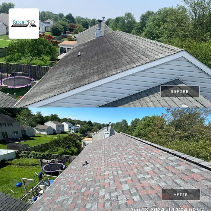 RoofPRO Picture 3