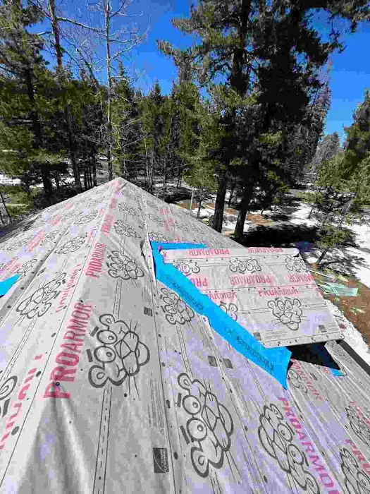 Apex Metal Roofing Picture 9
