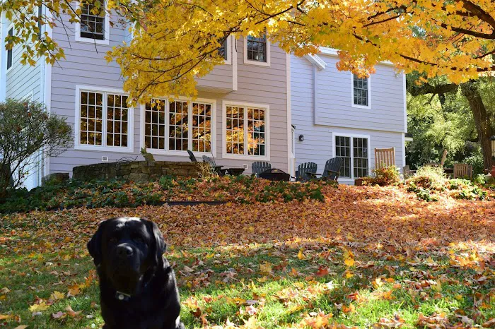 Chesapeake Roofing, Windows & Siding Inc. Picture 7
