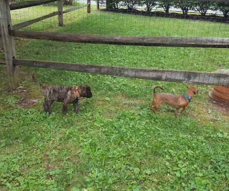 Mark J Fisher Roofing