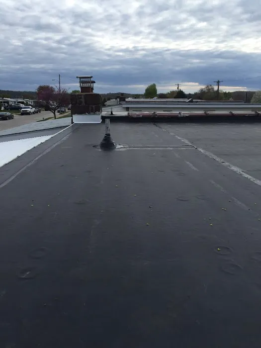 Carranza Roofing & Remodeling Picture 1