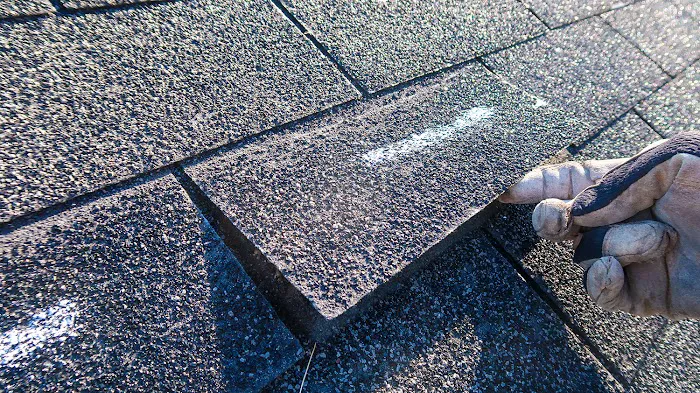 Green Rhino Roofing and Siding Picture 5