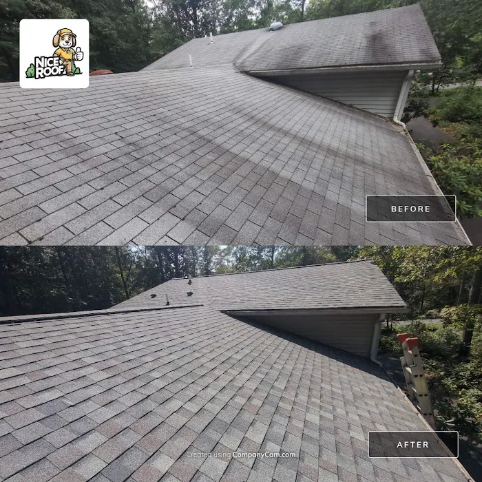 Nice Roof Co. Picture 5