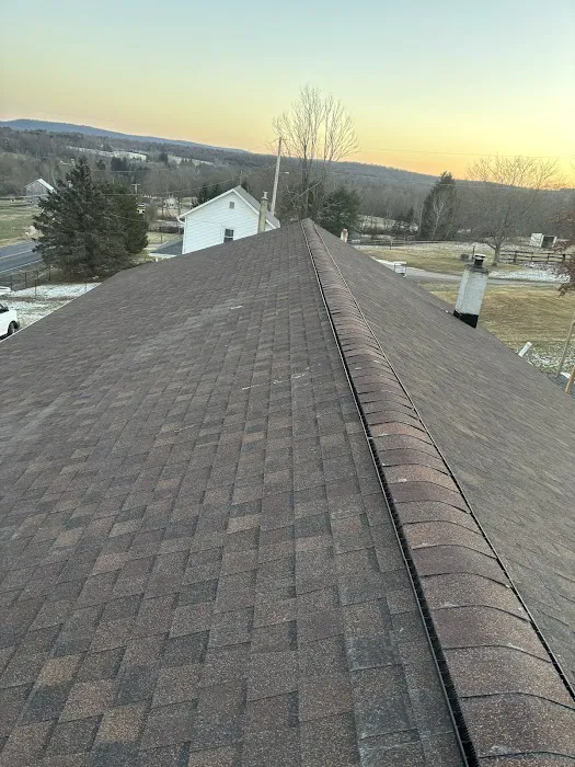 Lema & Rojas Roofing And Siding Llc Picture 4