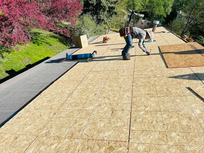 THE FLAT ROOF SPECIALISTS Picture 7