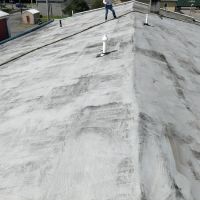 Meadowview Roof Coatings LLC ico