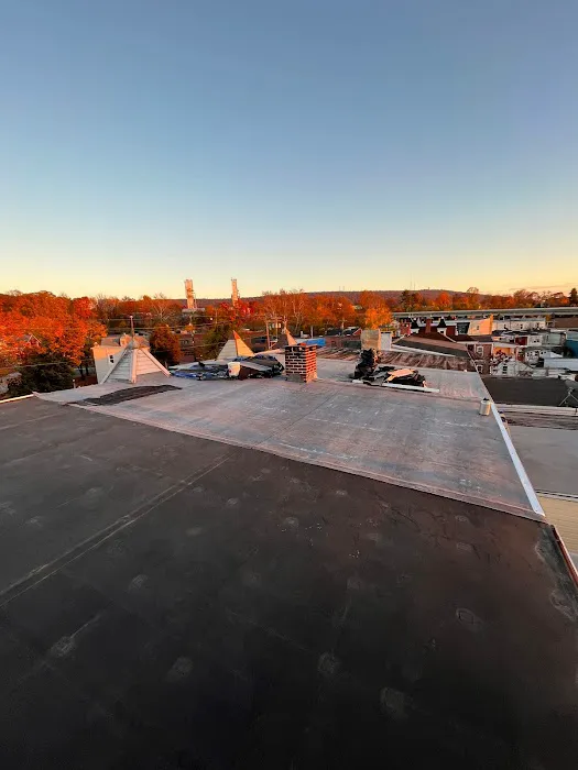 Unity Roofing Systems Picture 4
