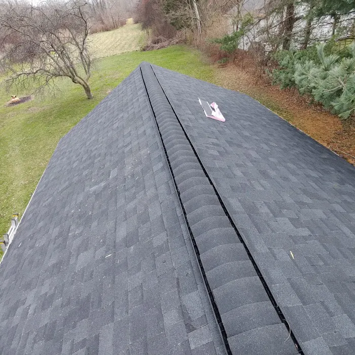 D-n-A Roofing & Construction Picture 5