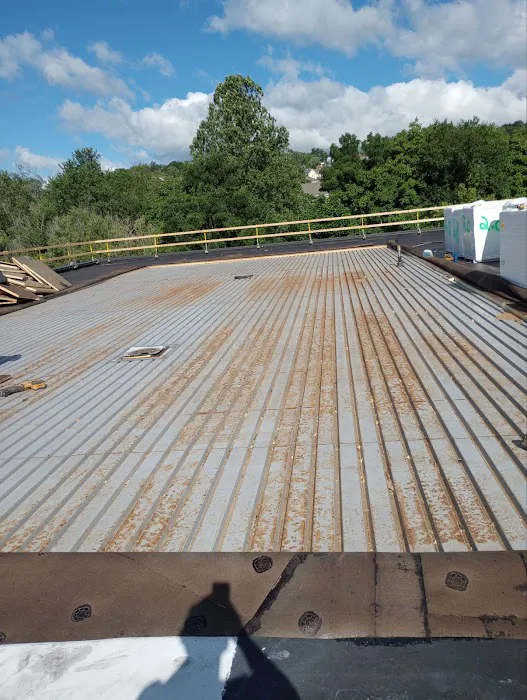Gold Star Roofing LLC Picture 3