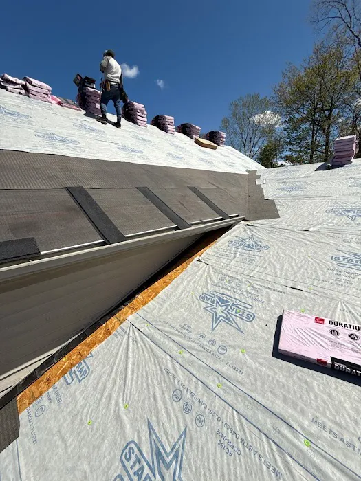 Invictus Roofing & Restoration Picture 7