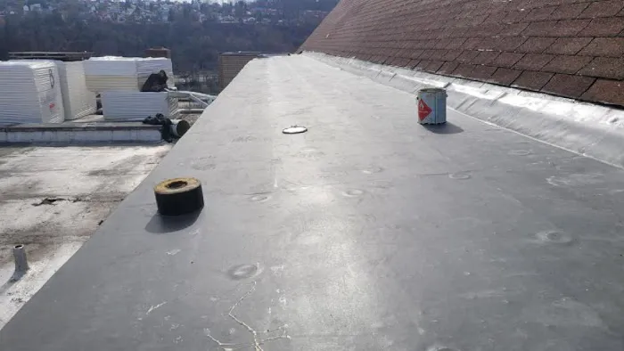 GenSun Roofing Picture 5