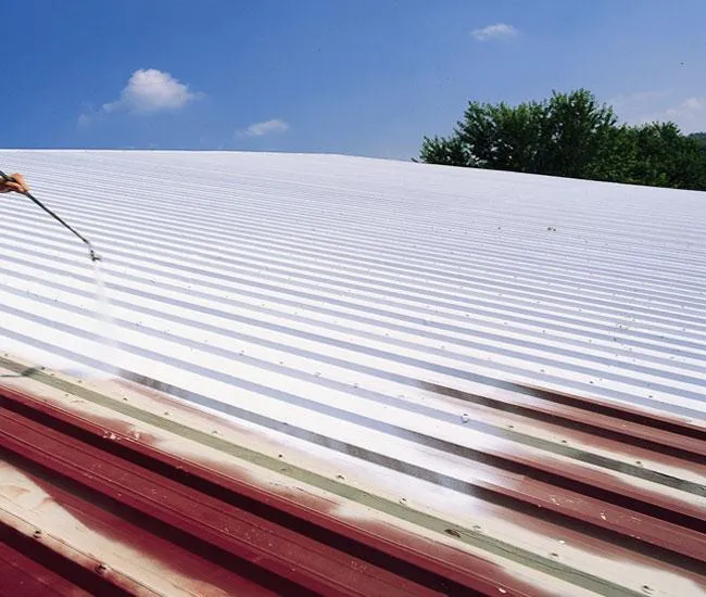 T&M Roof Restoration Picture 2
