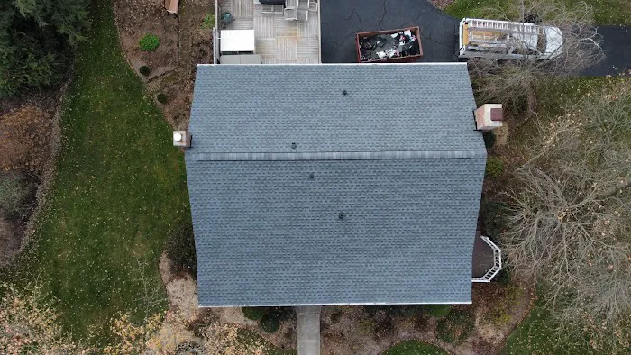 The Big Fish Roofing Picture 4