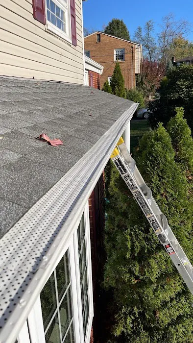 The Big Fish Roofing Picture 7