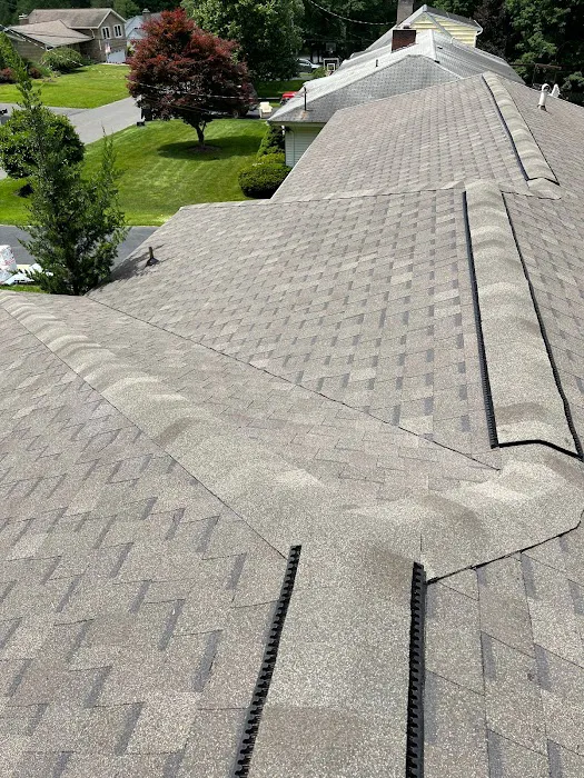 Platinum Roofing and Construction Picture 3