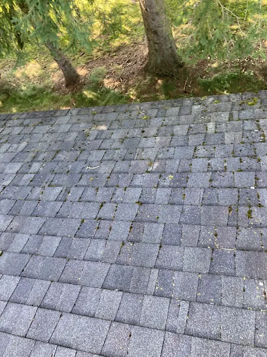 CNY Roof Cleaners Picture 2