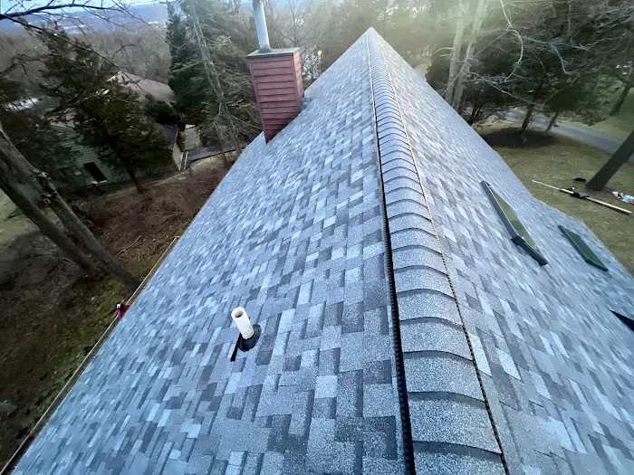 SOS Roofing NY Picture 9