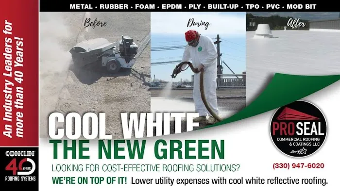 Pro Seal Commercial Roofing and Coatings, LLC Picture 2
