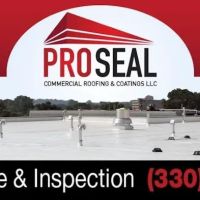 Pro Seal Commercial Roofing and Coatings, LLC ico