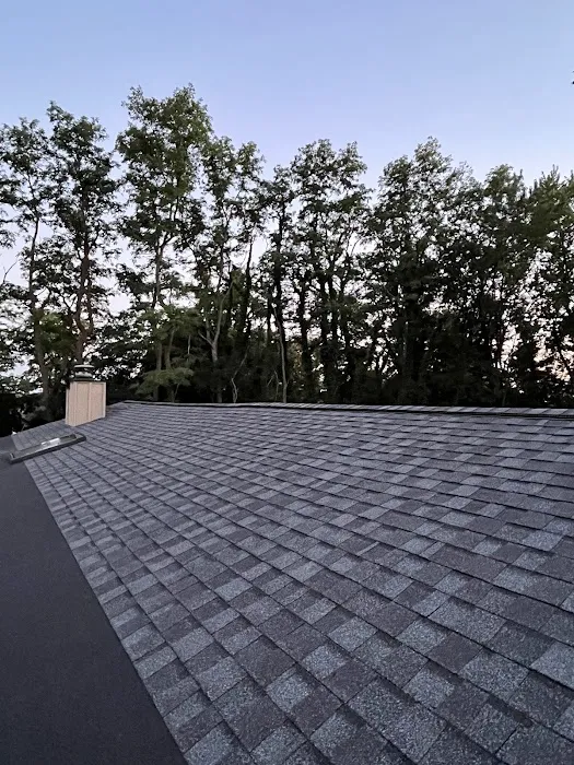 The Roofing Guys Inc Picture 8