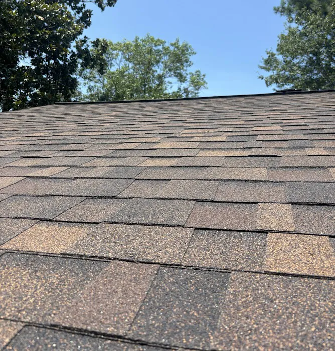 Pure Roofing Picture 1