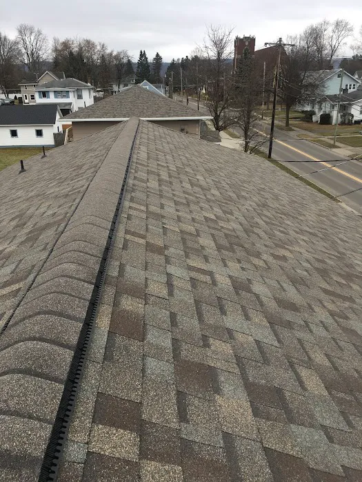 Fenix Roofing Picture 1