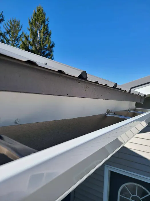 NexGen Seamless Gutters Picture 6