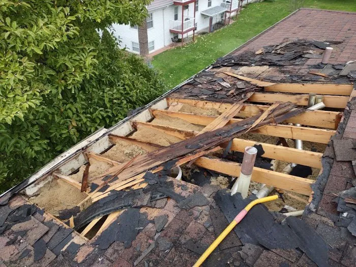 The Roof Rangers Picture 8