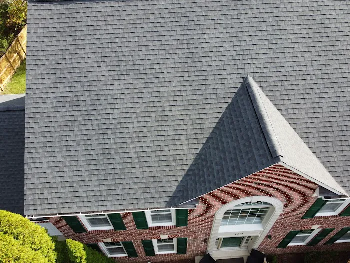 Wil the Roofer Picture 3