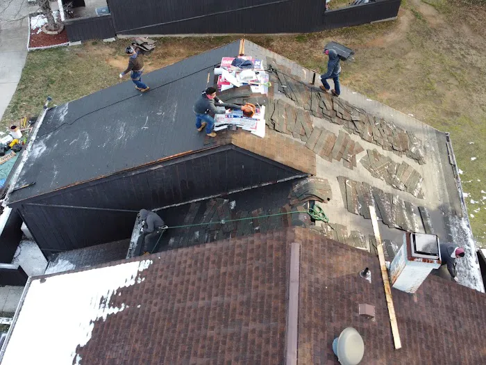 Wil the Roofer Picture 10