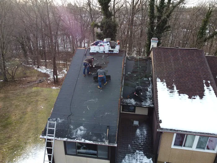 Wil the Roofer Picture 9