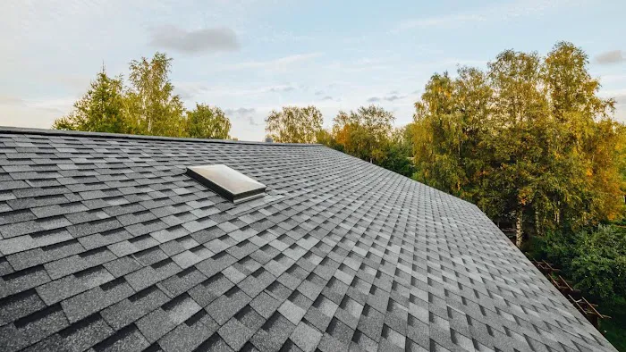 Voyage Roofing Picture 2
