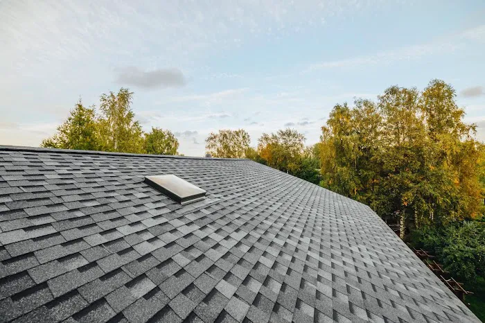 Voyage Roofing Picture 1
