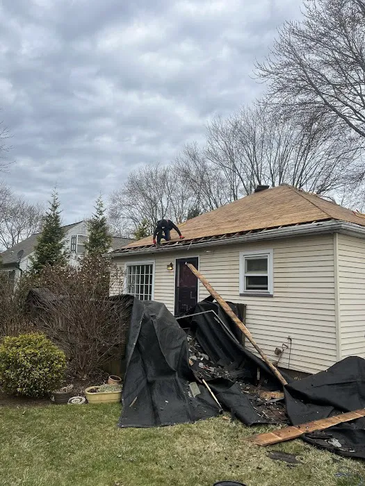 Voyage Roofing Picture 4