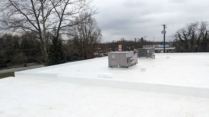 Alternative Roofing, Inc. Picture 9