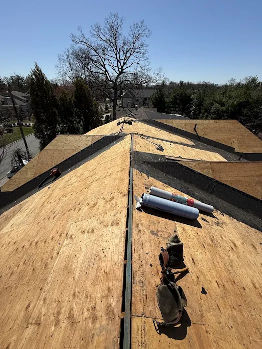 All Point Roofing & Chimney Picture 7