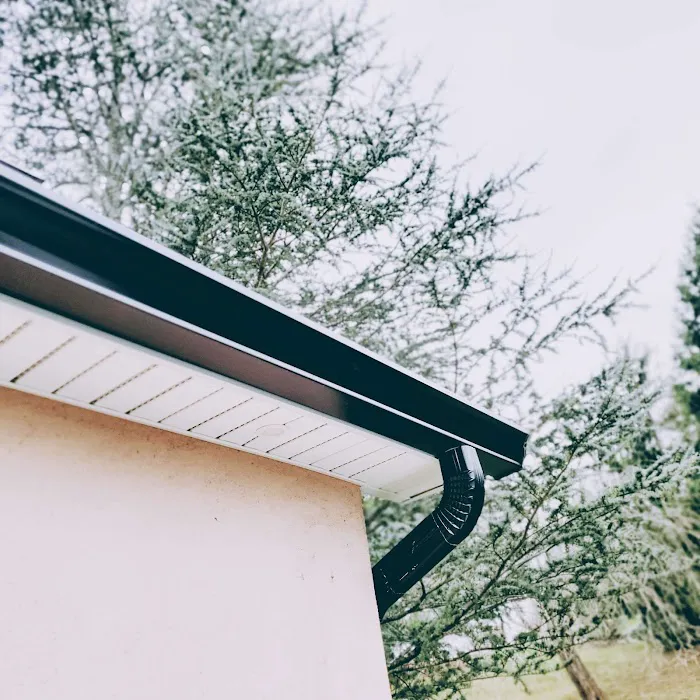 Alte Roofing Picture 1