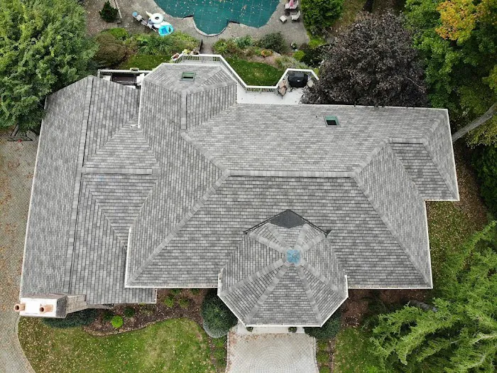 Alte Roofing Picture 3