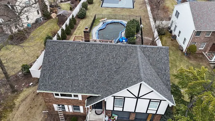 Roof Shark Picture 1