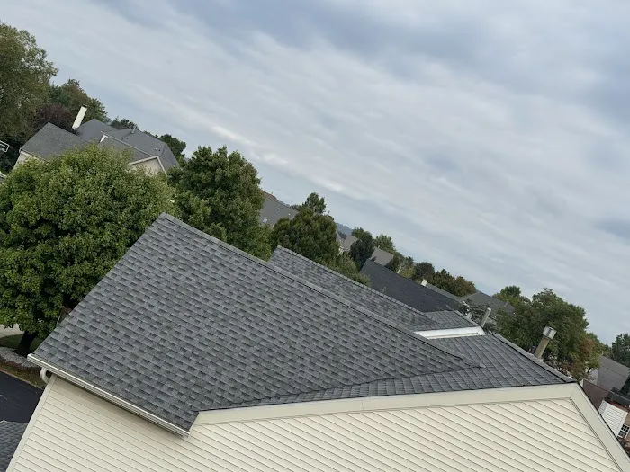 IDEAL ROOFING AND CHIMNEYS Picture 7