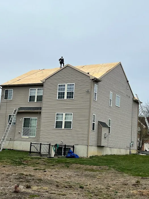 All Absolute Construction LLC Picture 4