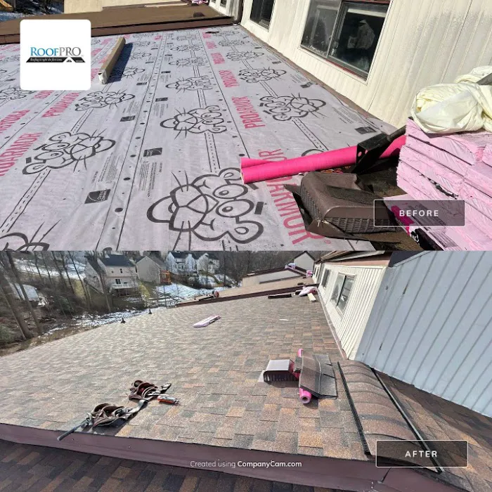 RoofPRO Picture 3