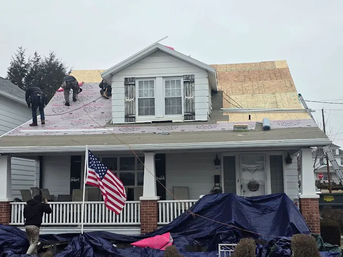 The Roof Brothers Picture 6